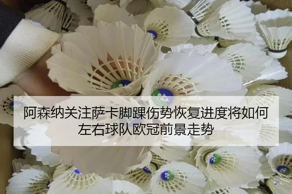 阿森纳关注萨卡脚踝伤势恢复进度将如何左右球队欧冠前景走势
